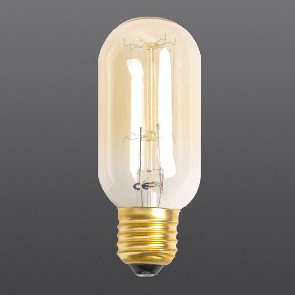 Edison Bulb T45